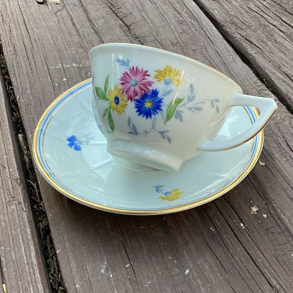 Richard Ginori Italy Floral Porcelain Teacup and Saucer Set Gold Trim Vintage‎